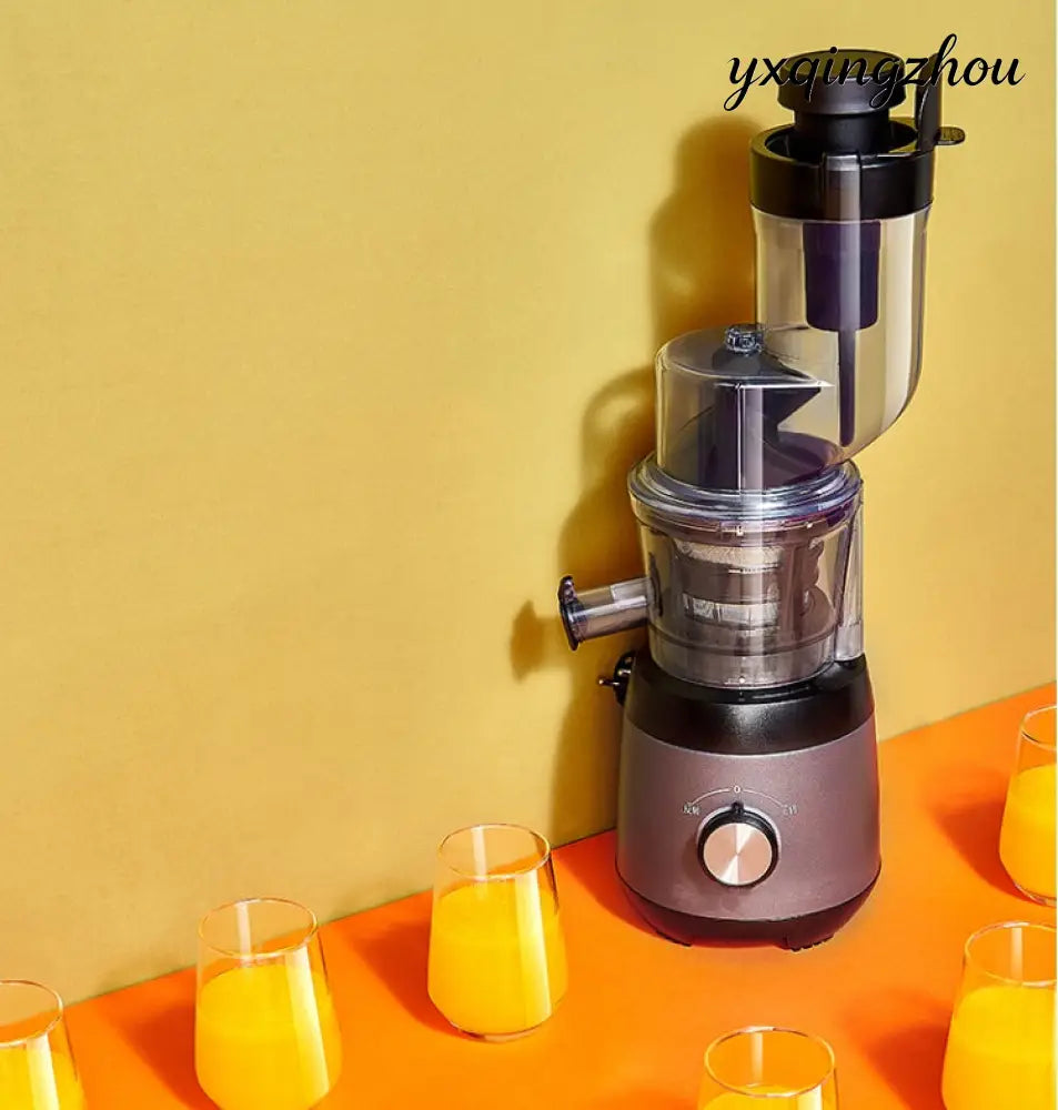 Cold Press Slow Juicer - Grey / US